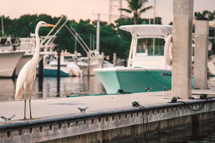 Key Largo.