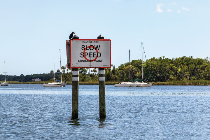 Slow Speed Sign.