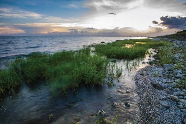 Lake Okeechobee.