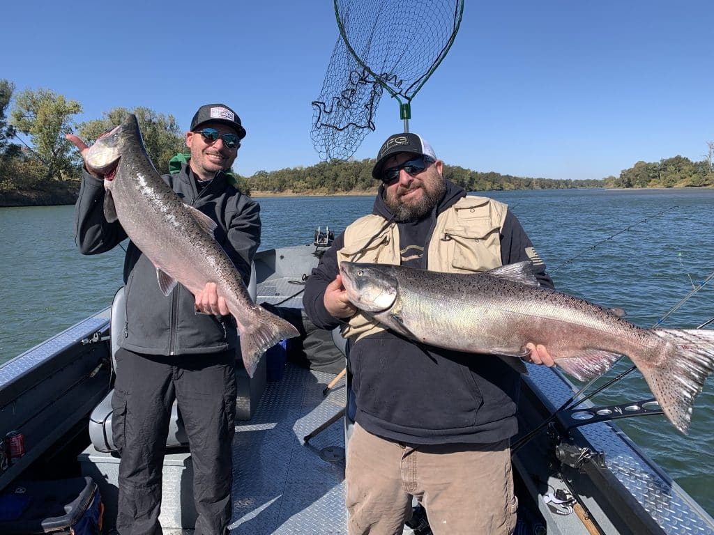 King salmon caught with a fishing guide on Folsom Lake, California