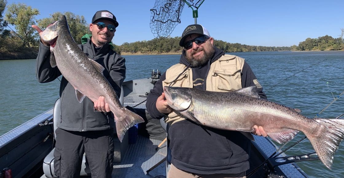 King salmon caught with a fishing guide on Folsom Lake, California