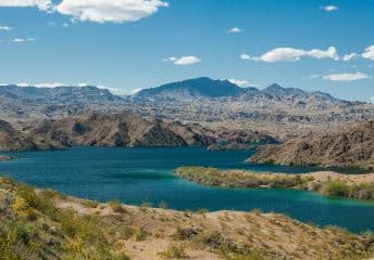 Lake Mohave, Cottonwood Cove Boating Guide