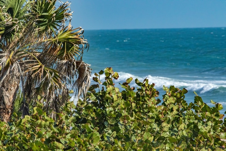 Melbourne beach- Best beaches in Melbourne, FL