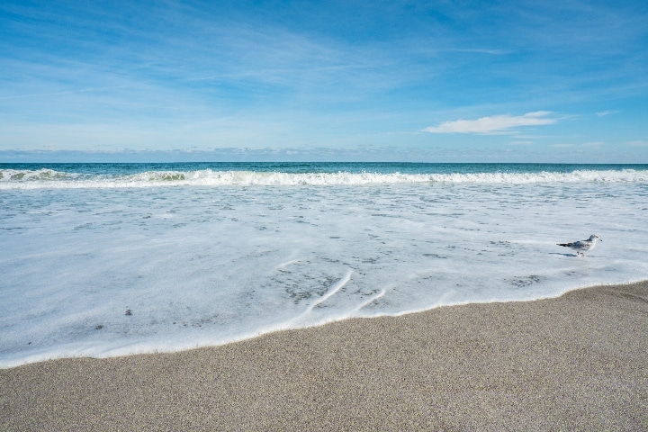 Paradise Beach- Best beaches in Melbourne, FL