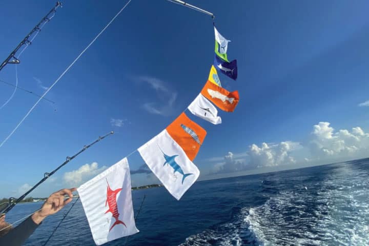 Guy Harvey Release Flags.