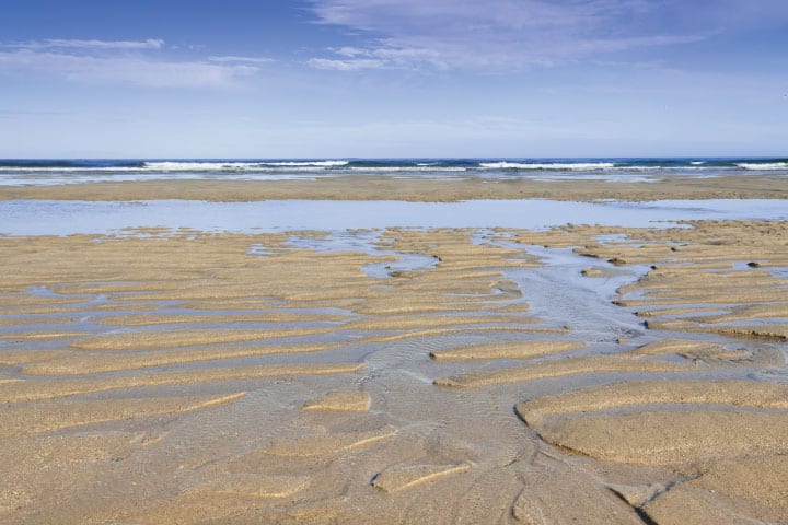 Low tide.