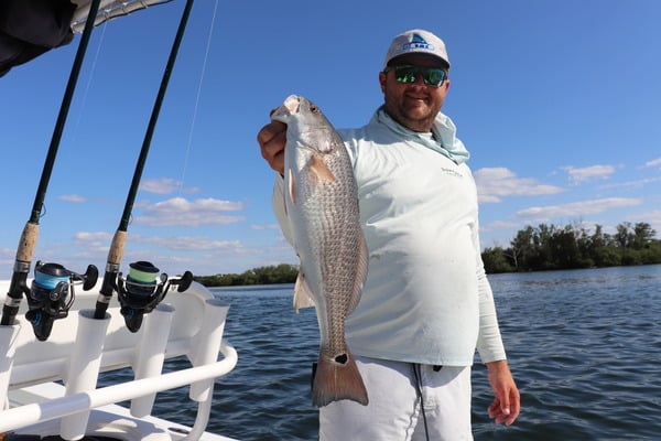 Capt. Matt Luttman of Inshore Action Charters in St. Petersburg, Florida, holding a redfish from his boat
