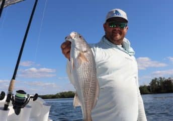 Capt. Matt Luttman of Inshore Action Charters in St. Petersburg, Florida, holding a redfish on his boat