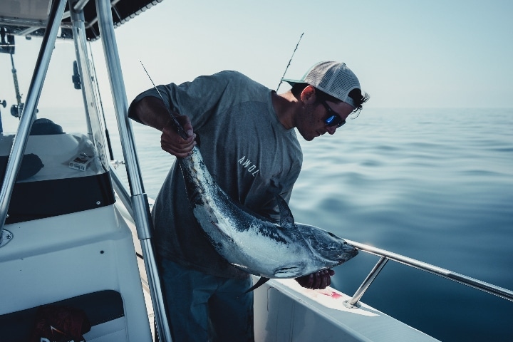 San Diego Tuna fishing