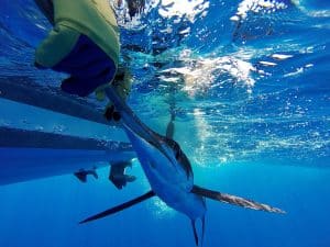 Top fishing destinations in 2024