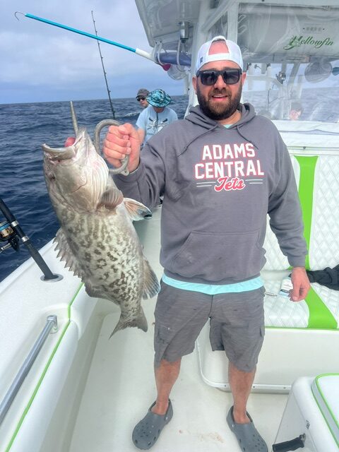 Gag grouper caught offshore from Madeira Beach, Florida - March 2024