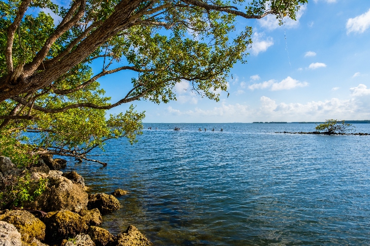 Boating in Biscayne Park 