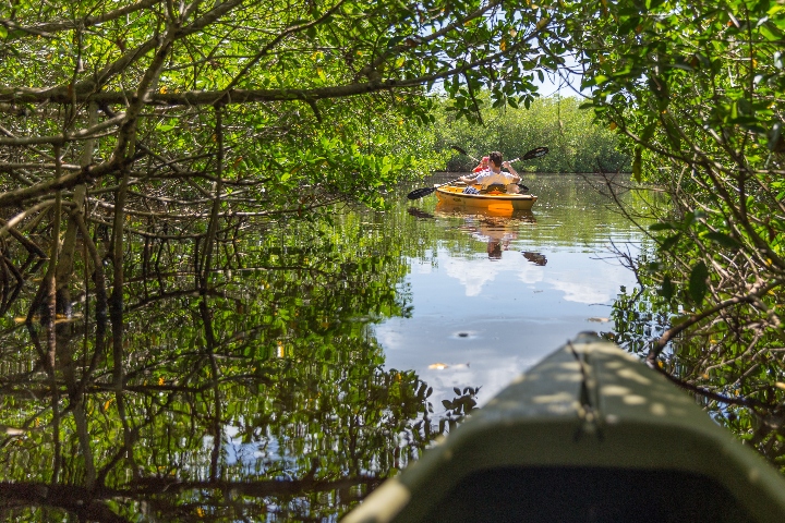 Boating in Everglades Park