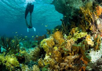 70 Degrees Year-Round_Best U.S. Cities_International Escapes