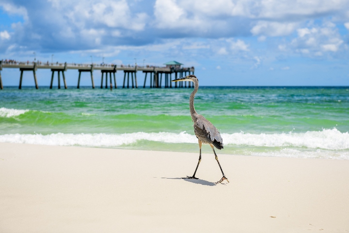 Fort Walton Beach - Boatsetter 