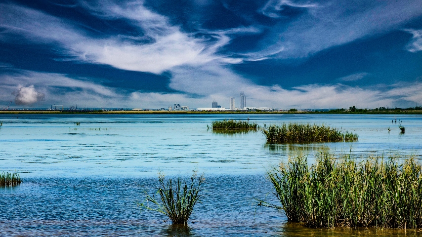 Mobile Bay, Alabama 