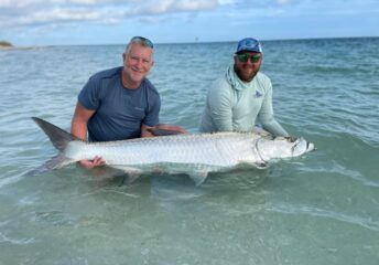 Tarpon caught by a fisherman with Capt. Matt Luttman of Inshore Action Fishing Charters in Tampa St. Petersburg, Florida