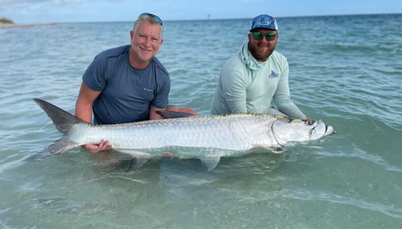 Tarpon caught by a fisherman with Capt. Matt Luttman of Inshore Action Fishing Charters in Tampa St. Petersburg, Florida