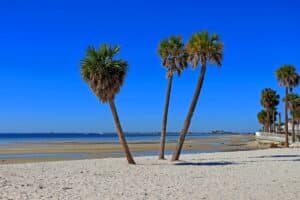 Best Beaches in Tampa