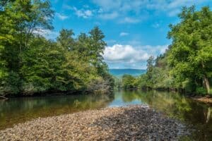 Best Fishing Spots Around Tennessee