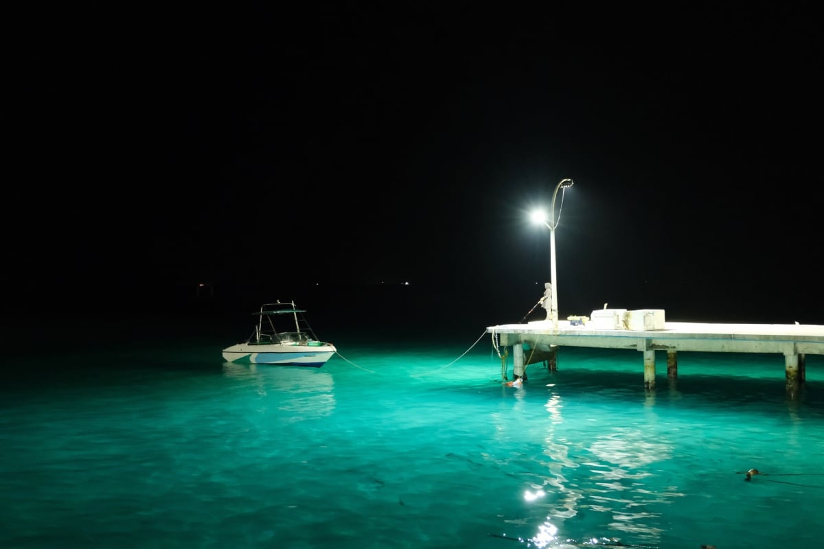 Night Fishing Guide: Essential Tips & Tricks