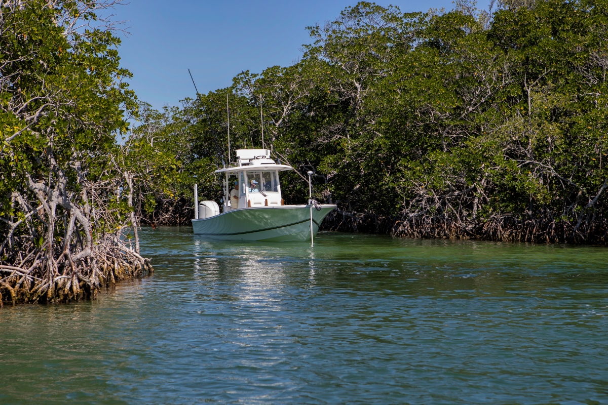 Florida Fishing Seasons A Short Guide florida-fishing-seasons-a-short-guide