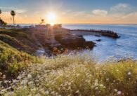 best things to do in san diego