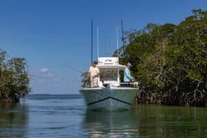 Florida Mangrove fishing