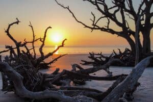 The best fall beaches