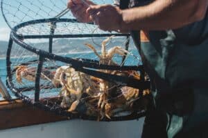 Best places in the US to go crabbing