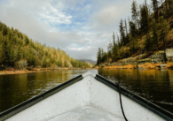 2025 Guide_Blog_Letting other's lead