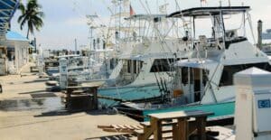 A scenic view of luxurious yachts docked at a sunny marina, with clear skies and palm trees.