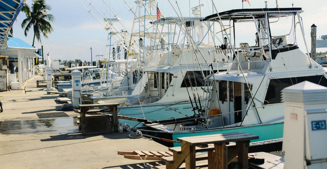 A scenic view of luxurious yachts docked at a sunny marina, with clear skies and palm trees.