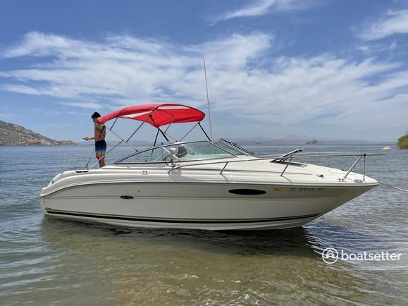 Delivery available - 22' Searay weekender family boat!