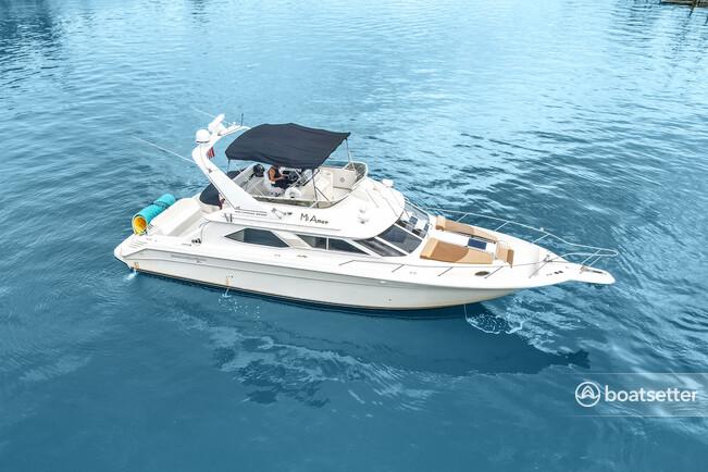 Miami Beach Sea Ray 48, April limited time Special Promo  - 13 people 