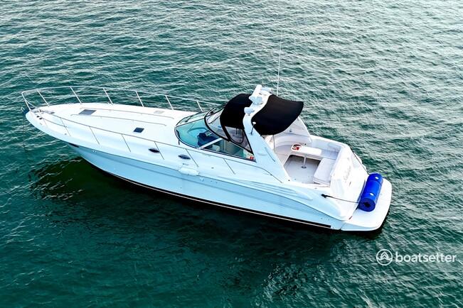 Stunning 42’ Sea Ray Sundancer- Miami’s BEST charter boat! 